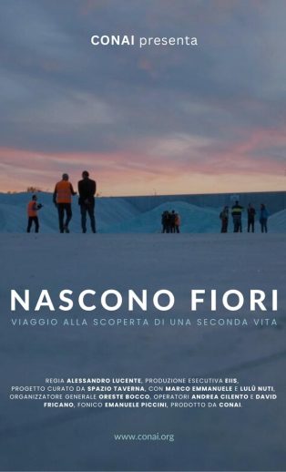 Nascono fiori